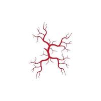 veias humanas, design de vasos sanguíneos vermelhos e ilustração vetorial de artérias isoladas vetor