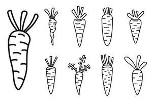 conjunto de ícones de cenoura de comida, estilo de estrutura de tópicos vetor