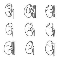 conjunto de ícones de órgãos renais, estilo de estrutura de tópicos vetor