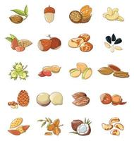 conjunto de ícones de comida de tipos de nozes, estilo cartoon