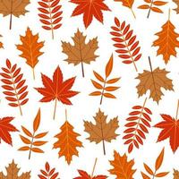ilustração em vetor padrão sem costura de folhas e galhos de outono