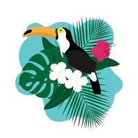 pássaro tucano exótico, flores coloridas de hibisco flor e folhas tropicais, isoladas no fundo branco. ilustração vetorial. vetor