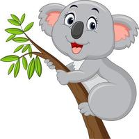 desenho de coala fofo em uma árvore vetor