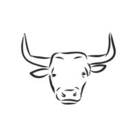 desenho vetorial de vaca touro vetor