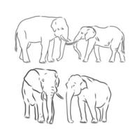 desenho vetorial de elefante vetor