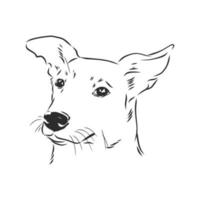 desenho vetorial de cachorro vetor