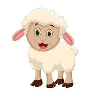 desenhos animados de ovelhas fofas. ilustração vetorial
