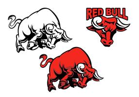 Vetores Bull Bull