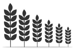 espigas de espigas de plantas de trigo, ícones gráficos visuais vetoriais de cevada ou centeio, ideais para embalagens de pão, rótulos de cerveja etc. ilustração vetorial de estoque isolada em branco vetor