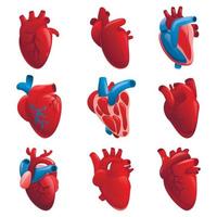 conjunto de ícones do coração humano, estilo cartoon