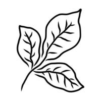 isolado em um desenho de contorno de fundo branco de uma folha de planta vetor