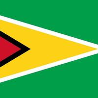 bandeira da guiana, cores oficiais. ilustração vetorial. vetor