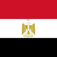 bandeira do Egito, cores oficiais. ilustração vetorial. vetor