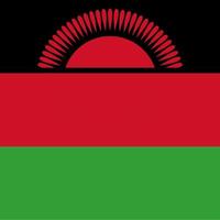 bandeira do malawi, cores oficiais. ilustração vetorial. vetor