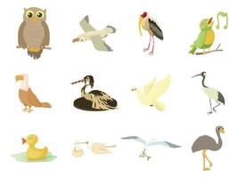 conjunto de ícones de pássaros, estilo cartoon vetor