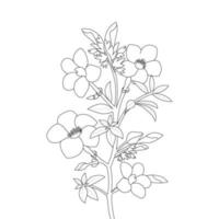 arte de linha de página de coloração de flor allamanda com ilustração de pétalas e folhas florescendo vetor