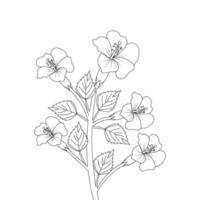 página para colorir de crianças de ilustração de flor de hibisco com traço de arte de linha vetor