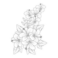 desenho de linha de página de coloração de flor de hibisco vermelho com modelo de impressão para criança e adulto vetor