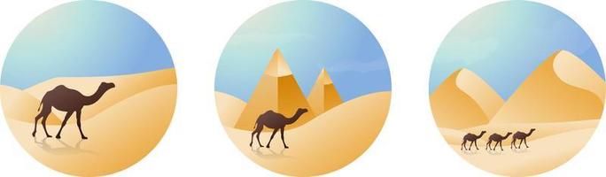 fundo de ilustração vetorial de pirâmide de camelo do deserto árabe vetor