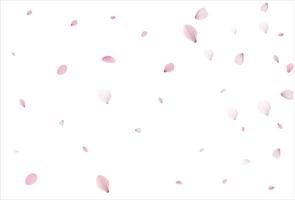 cenário de pétalas de cereja. fundo de pétalas de sakura. vetor