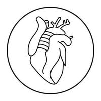 arredondado um ícone de arte de linha de órgãos internos do coração humano para aplicativos ou site vetor