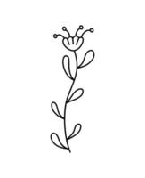 flor vetor simples ilustração botânica, arte de linha, elementos de design minimalista. rabiscos de plantas elegantes e delicados para branding, design gráfico. clipart floral primavera