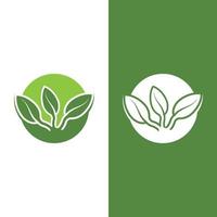 logotipos da ecologia de folhas verdes vetor