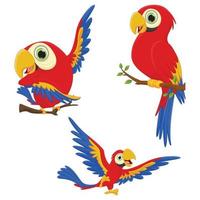 conjunto de desenhos animados de pássaro de arara bonito. ilustração vetorial vetor