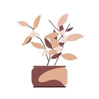 ilustração de plantas decorativas vetor