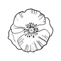 mão desenhando uma única flor de papoula isolada em branco, vista superior, vetor preto e branco doodle
