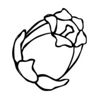 vector clipart de flor de mirtilo. ilustração de flor desenhada de mão. para impressão, web, design, decoração, logotipo.