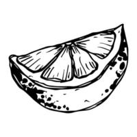 vector clipart de limão. ícone cítrico desenhado de mão. ilustração de frutas. para impressão, web, design, decoração