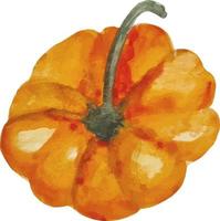 abóbora laranja em aquarela isolada em clipart de outono desenhado à mão branca vetor