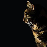 ilustração vetorial de gato colorido vetor