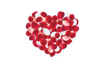 coração feito de pétalas de rosa vermelhas, rosa e brancas. vetor