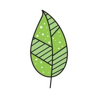 mão desenhada ícone de folha tropical doodle monstera na ilustração vetorial de fundo branco. elemento de esboço dos desenhos animados de coleção de símbolo de floresta tropical. vetor