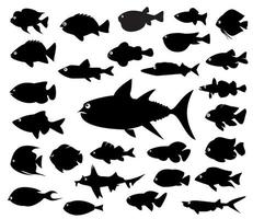 definir peixe preto. ilustração vetorial. vetor