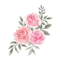 vetor de aquarela de flores rosas cor de rosa e vermelho isolado no fundo branco. flores vintage e folhas gráficas para casamento, cartão de convite. ilustração floral