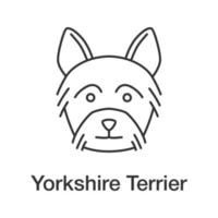 ícone linear de yorkshire terrier. yorkie. ilustração de linha fina. raça de cachorro. símbolo de contorno. desenho de contorno isolado de vetor
