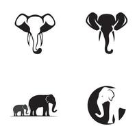 design de ilustração vetorial de modelo de logotipo de elefante vetor