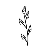 ramo de planta. folhas em estilo de linha. ilustração natural preto e branco. minimalismo e flora simples. vetor