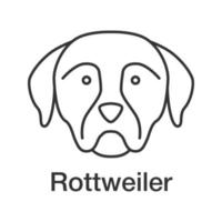 ícone linear rottweiler. ilustração de linha fina. raça de cão guardião. símbolo de contorno. desenho de contorno isolado de vetor
