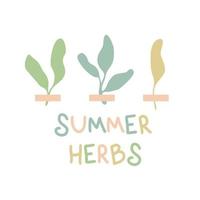 impressão de doodle com herbário de plantas pequenas e ervas de verão de texto. vetor