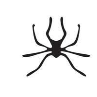 aranha desenhada de mão. símbolo do dia das bruxas vetor