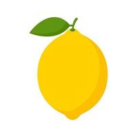 limão isolado no fundo branco vetor