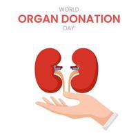 dia nacional do doador de órgãos com rins vetor