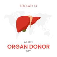 dia nacional do doador de órgãos com fígado vetor