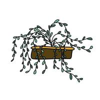 doodle colorido desenho de uma planta em uma panela vetor