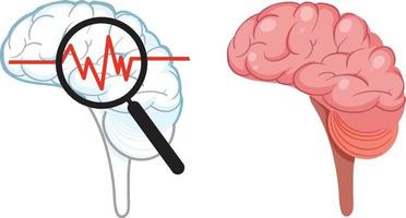 vetor isolado do cérebro humano