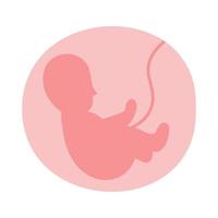 desenvolvimento do feto no útero. ginecologia, reprodutiva. vetor